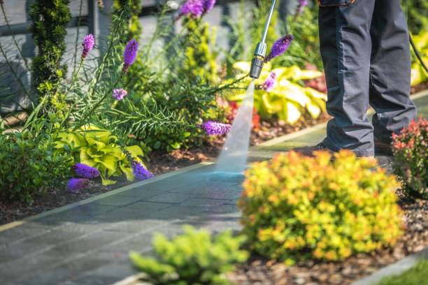 Best Boat and Dock Cleaning  in Norwood, OH