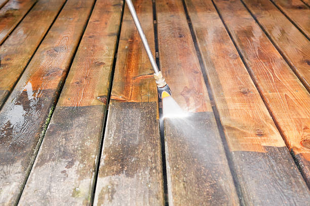 Animal Enclosure Cleaning in Norwood, OH