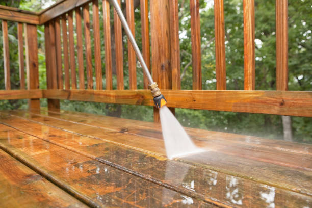 Best House Exterior Washing  in Norwood, OH